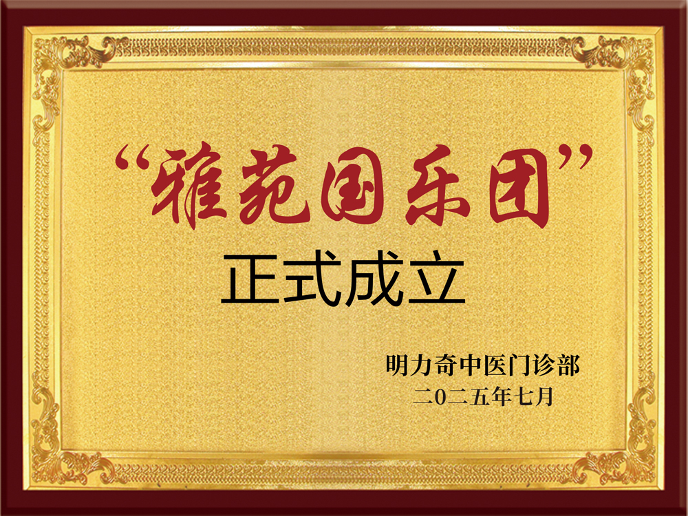 “雅苑国乐团”金牌
