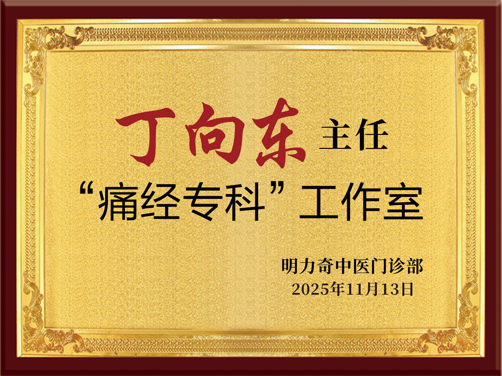丁向东金牌